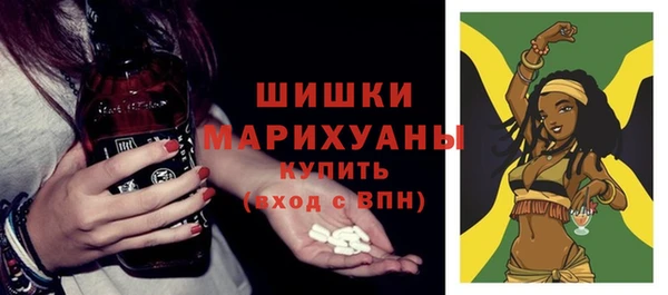 гидра Дмитриев