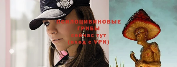 гидра Дмитриев