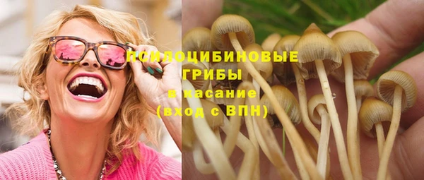 гидра Дмитриев
