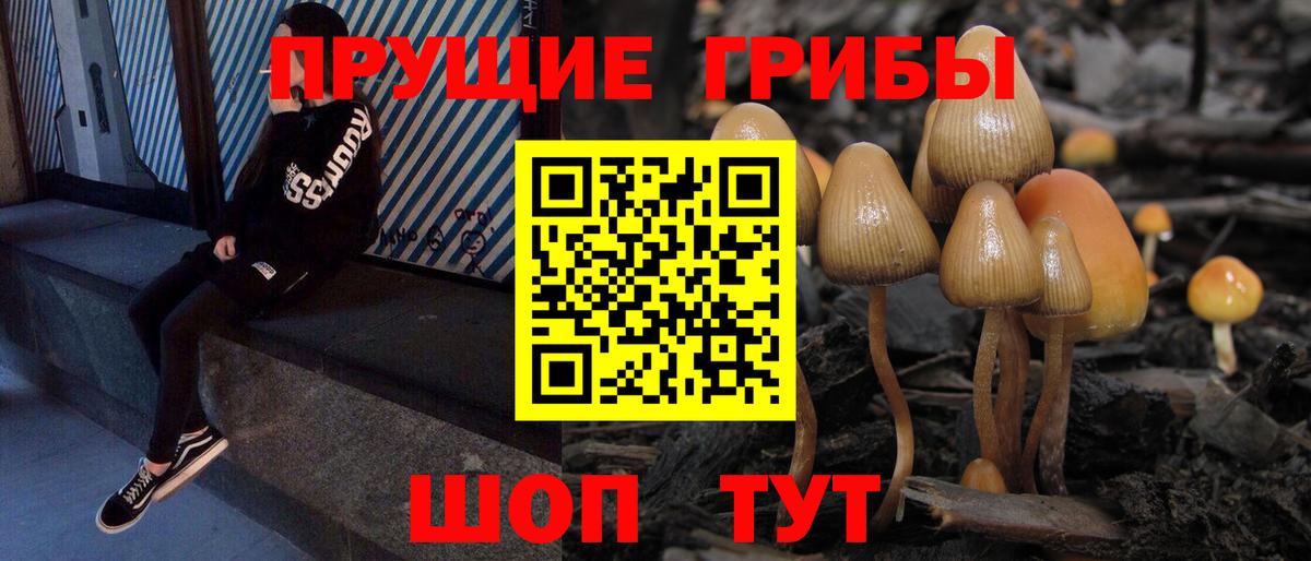Псилоцибиновые грибы прущие грибы  Вход с VPN  Изобильный  Псилоцибиновые грибы GOLDEN TEACHER 